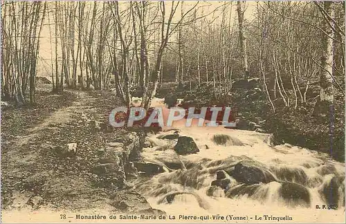 Cartes postales Monastere de Sainte Marie de la Pierre Qui Vire (Yonne)