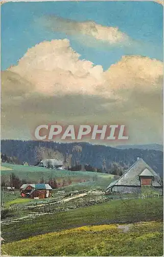 Cartes postales moderne Schwarzwald Alperabach