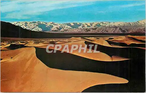 Cartes postales moderne Sand Dunes Death Valley National Monument