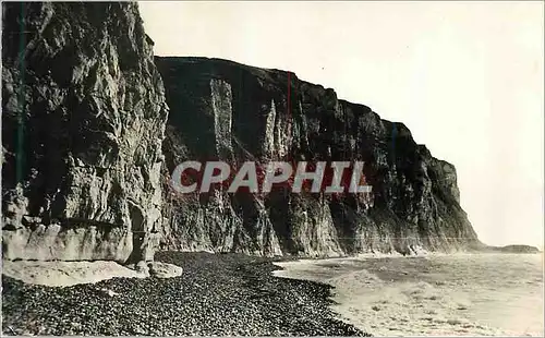 Cartes postales moderne Berneval sur Mer (S M) Les Falaises (Cote Ouest)