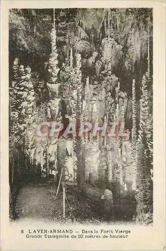 Cartes postales L'Aven Armand Dans la Foret Vierge Grande Stalagmite