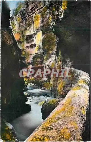 Cartes postales moderne Paysages du Vercors Le Defile des Grands Goulets