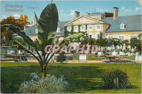 Cartes postales Strasbourg Orangerie