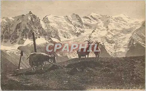 Cartes postales Le Mont Blanc Vu de Plan Praz Chevres