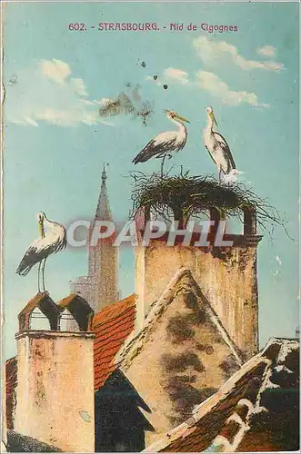 Cartes postales Strasbourg Nid de Cigognes