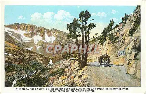 Cartes postales The Tioga Road and the High Sierra Between Lake Tahoe and Yosemite National Park