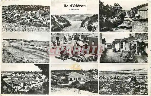 Cartes postales moderne Ile d'Oleron Vues de Domino