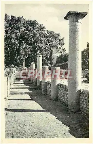 Cartes postales Vaison la Romaine Fouilles de la Villasse La Rue des Boutiques