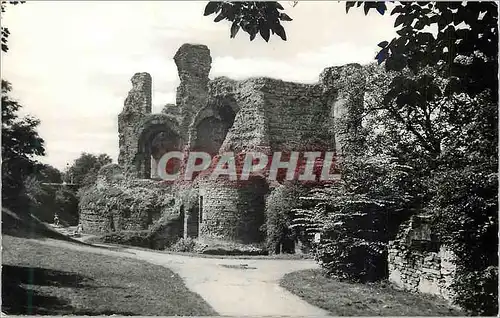 Cartes postales moderne Treves (Allemagne) Les Ruines de l'amphitheatre