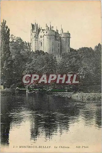 Cartes postales Montreuil Bellay le Chateau