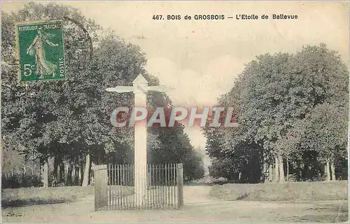 Cartes postales Bois de Grosbois L'Etoile de Bellevue