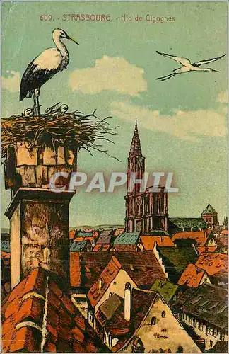 Cartes postales Strasbourg Nid de Cigognes