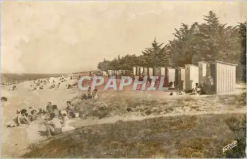 Cartes postales moderne Ile d'Oleron La Bree La Plage