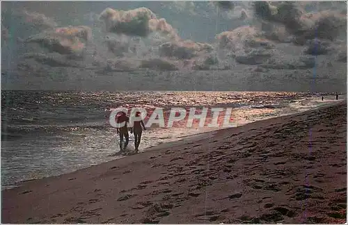 Cartes postales moderne Long Island Cavation Playground Silhouettes on the Shore of one of the Islands