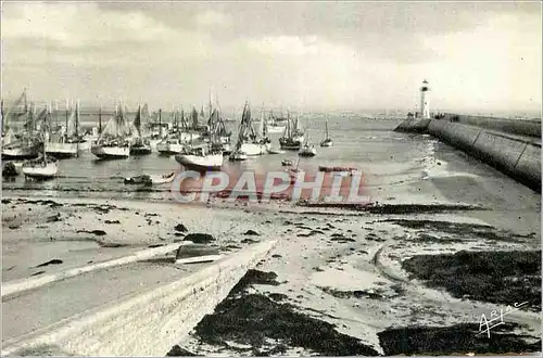 Cartes postales moderne Ile d'Oleron (Chte Mme) La Cotiniere Le Port Bateaux