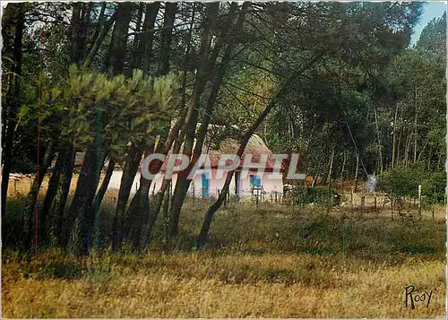 Cartes postales moderne En Vendee Petite Bourrine a toit de Chaume nichee dans les Bois (pays Marichin)