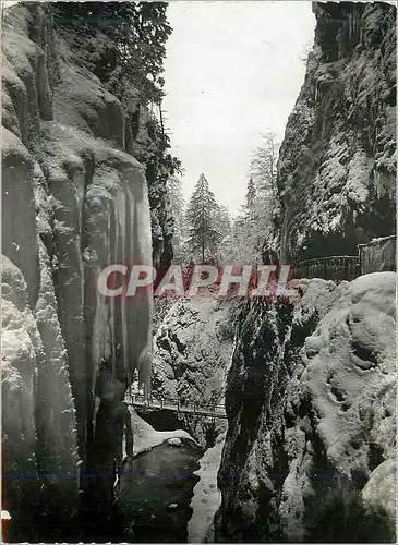 Cartes postales moderne Gorges de la Diosaz Une Merveille de la Nature Servoz (Alt 814 m) pres Chamonix Rochers et Tapis
