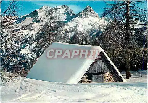 Cartes postales moderne Cadeau des Neiges Beaute des Cimes