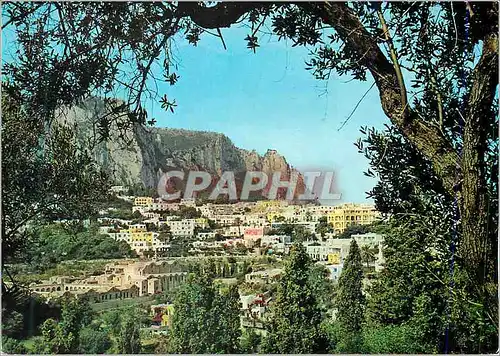 Cartes postales moderne Capri Panorama