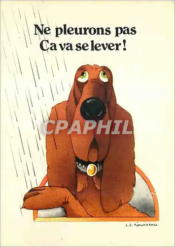 Cartes postales moderne Ne Pleurons pas Ca va se Lever 'Avis des Betes Chien