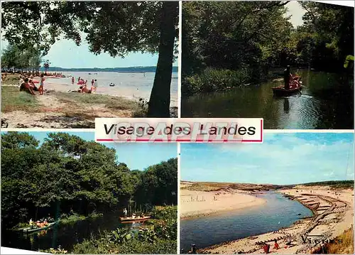 Cartes postales moderne Visage des Landes De l'Etang de Leon a Moliets en Descendant le Courent d'Huchet