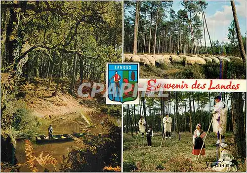 Cartes postales moderne Visage des Landes Souvenir des Landes