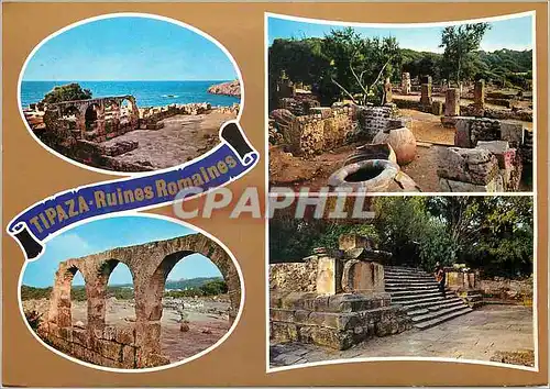 Cartes postales moderne Algerie Tipaza Ruines Romaines