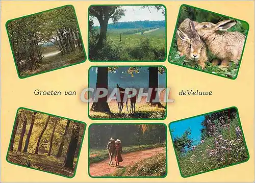 Moderne Karte Groeten Van de Veluwe Lapin