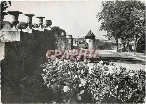 Cartes postales moderne Laval (Mayenne) Jardin de la Perrine