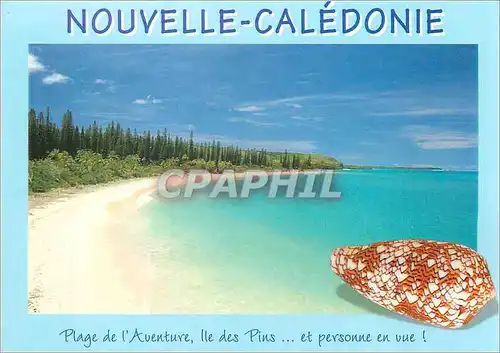 Cartes postales moderne Nouvelle Caledonie Plage de l'Aventure Ile des Pins et personne en vue