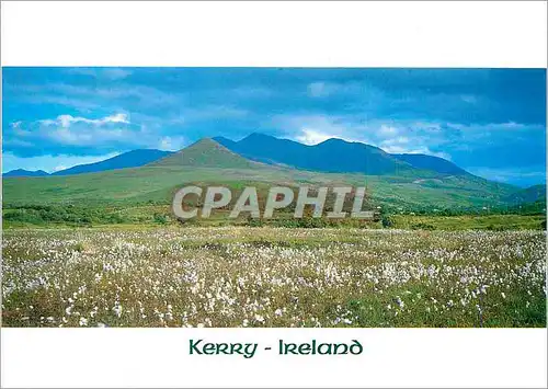 Cartes postales moderne Kerry Ireland