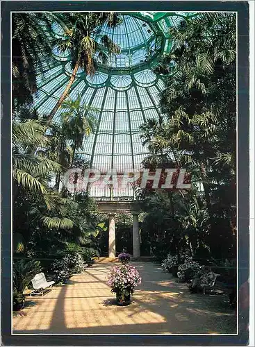 Cartes postales moderne Bruxelles Les Serres Royales de Laeken