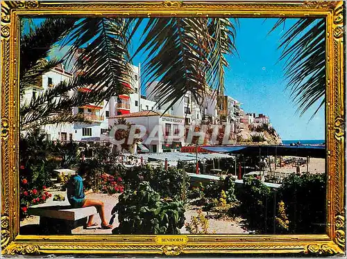 Cartes postales moderne Benidorm (Espana)