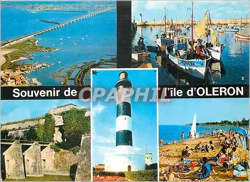 Cartes postales moderne Ile d'Oleron (Char Maritime) Couleurs et Lumiere de France le Pont d'Oleron Inaugure le 21 Juin