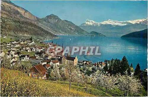 Cartes postales moderne Weggis am Vierwaldstattersee mit Rigi Nieder Und Oberbauen