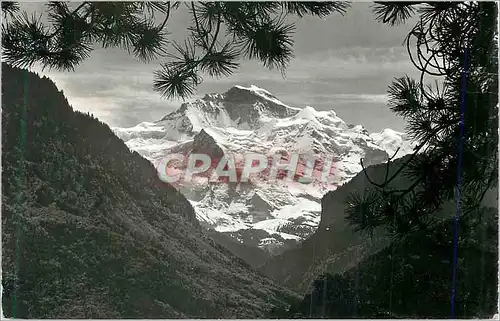 Cartes postales moderne Interlaken Jungfrau