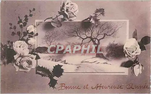 Cartes postales Bonne et Heureuse Annee