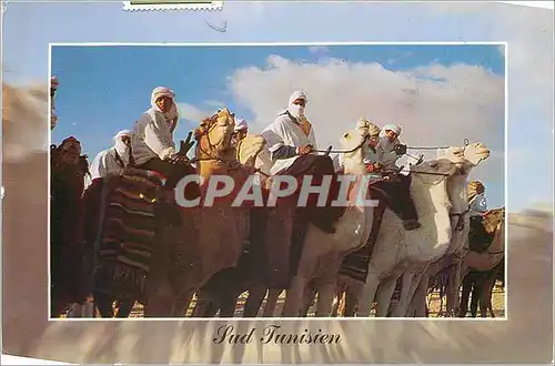 Cartes postales moderne Sud Tunisien