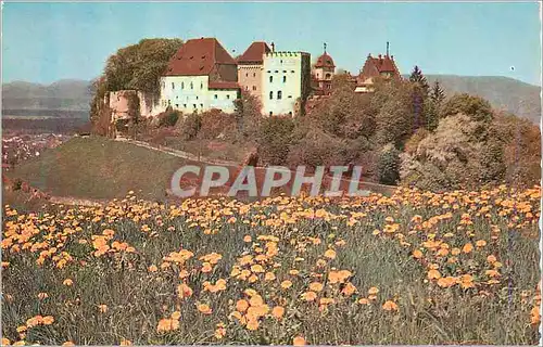 Cartes postales moderne Schloss Lenzburg