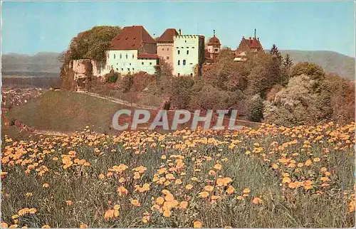 Cartes postales moderne Schloss Lenzburg