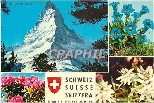 Cartes postales moderne Suisse