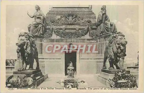 Cartes postales Bruxelles Tombeau d'un Soldat Inconnu Belge Colonne du Congres Lion