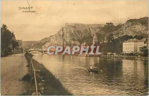 Cartes postales Dinant Panorama