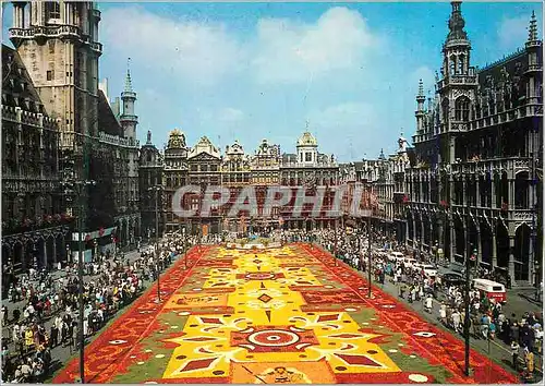 Cartes postales moderne Bruxelles Grand Place Tapis des Fleurs