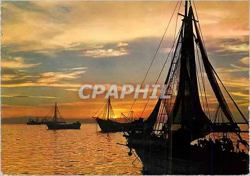 Cartes postales moderne Bateaux de peche