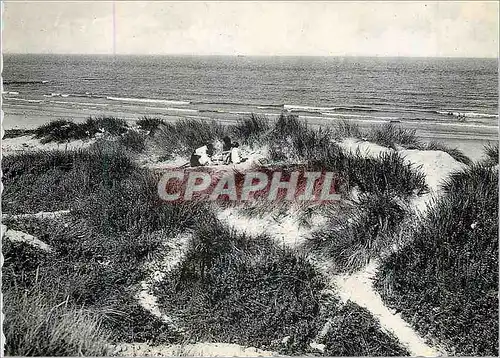 Cartes postales moderne Oostduinkerke ce petit Nid Discret que les Ajoncs Protegent