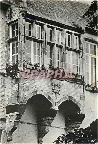 Cartes postales moderne Zottegem Kasteel Graaf Van Egmont