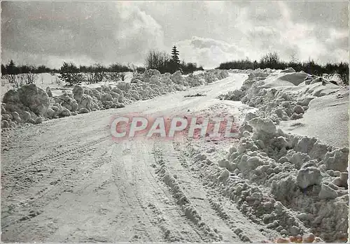 Cartes postales moderne Hiver en Hautes Fagnes