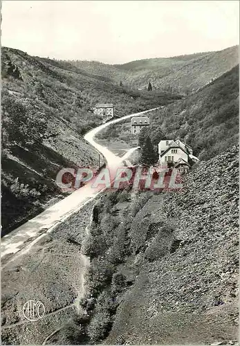 Cartes postales moderne Oignies Chestion (Belgique) la Vallee de l'Alise