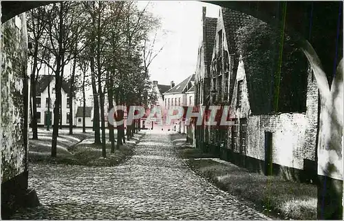 Cartes postales moderne Bruges Vue Interieure du Beguinage